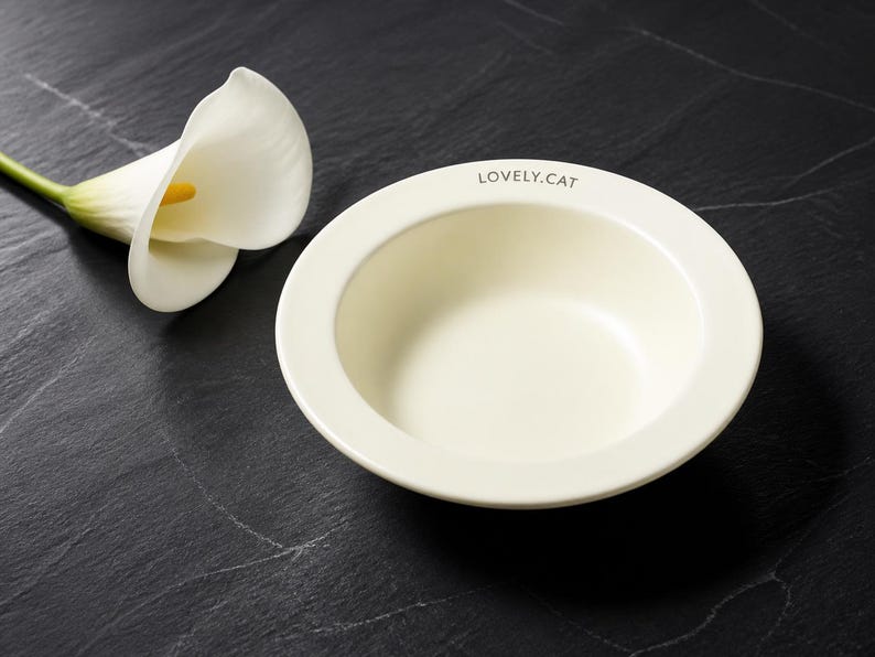 Ivory Cloud Pet Bowl