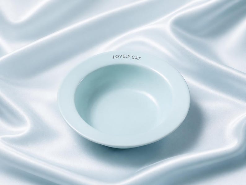 Mist Cloud Pet Bowl